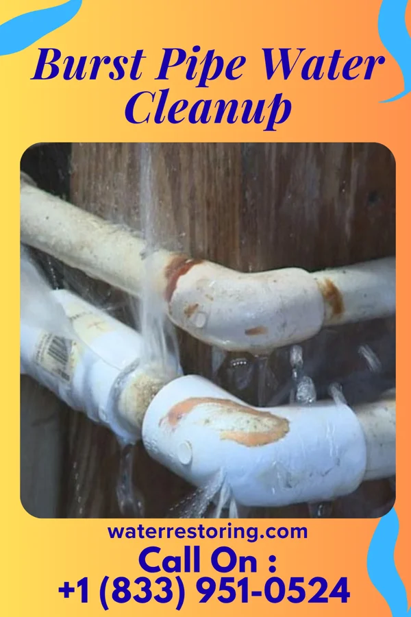 Burst Pipe Water Cleanup in Brenham, TX